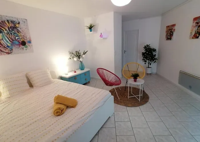 公寓 Drapeau Parking Prive Gratuit 第戎